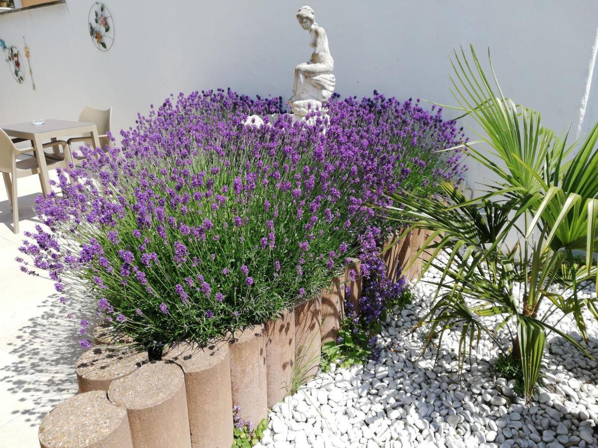 Kokodor Bed & Breakfast De Haan Dış mekan fotoğraf